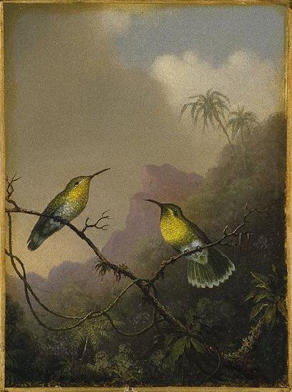 Martin Johnson Heade Two Humming Birds oil painting image